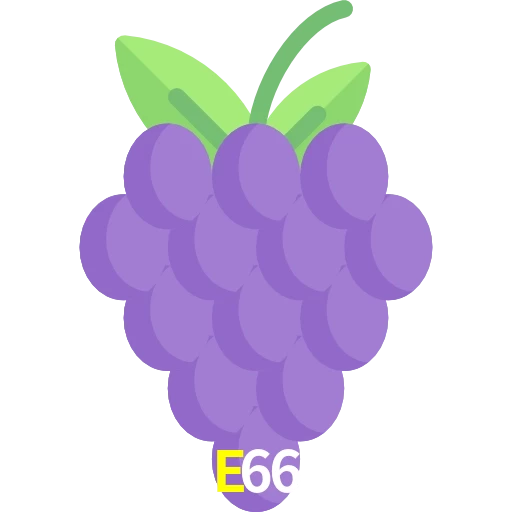 E66